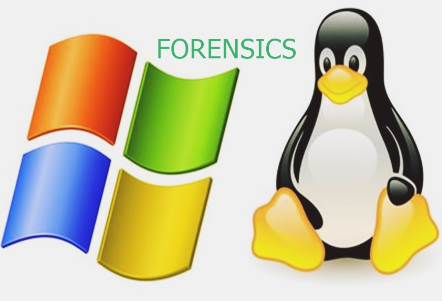 linux & windows forensics